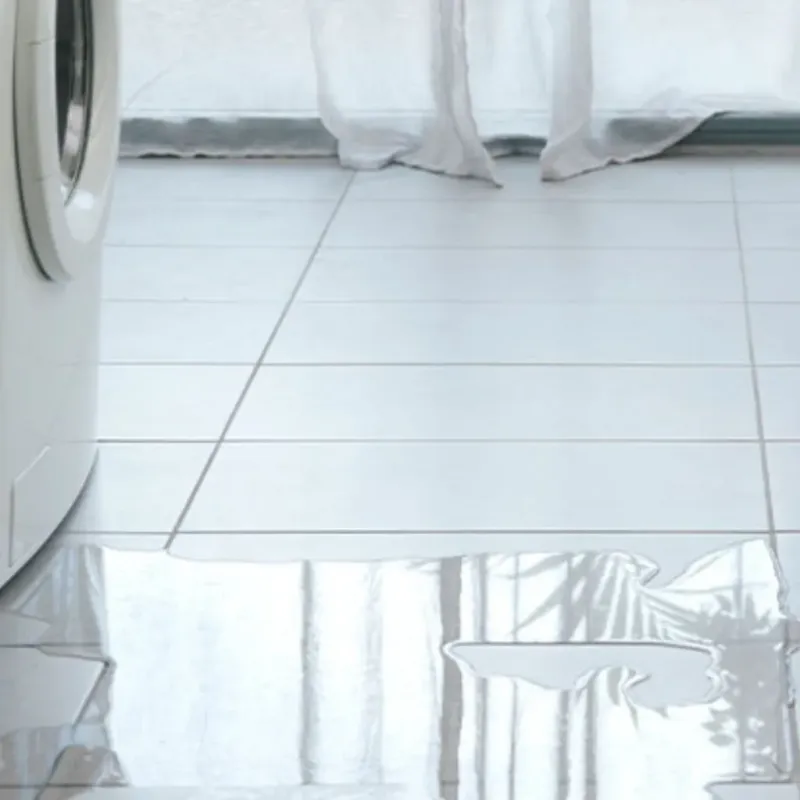 Appliance Leak Cleanup in Lasara, TX