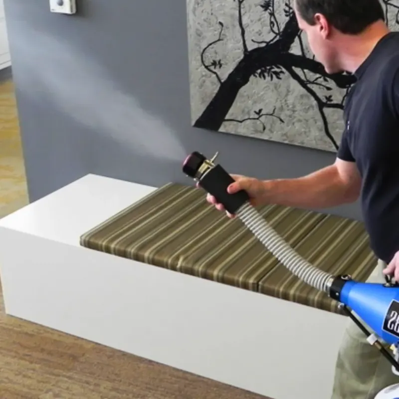 Professional Odor Removal in Lasara, TX