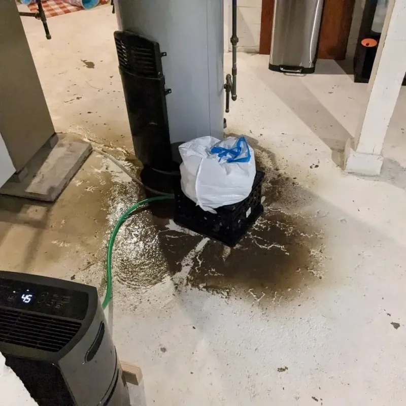 Sewage Backup Cleanup Service in Lasara, TX